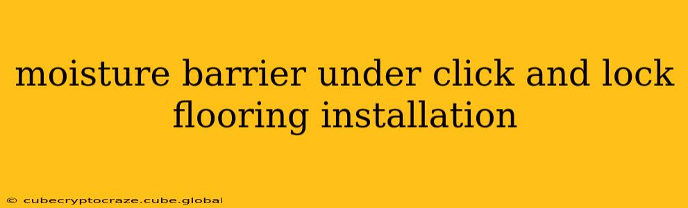 moisture barrier under click and lock flooring installation
