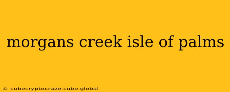 morgans creek isle of palms