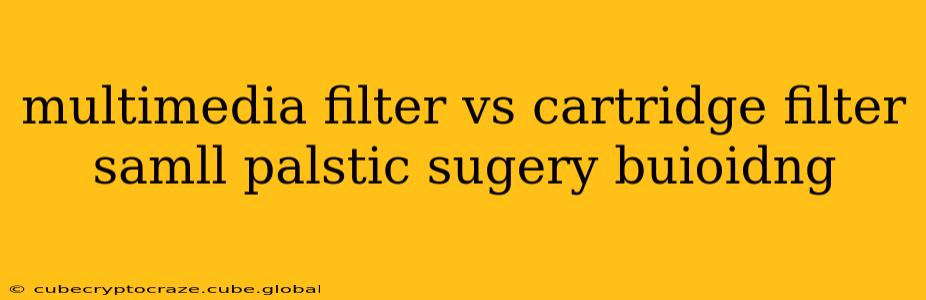multimedia filter vs cartridge filter samll palstic sugery buioidng