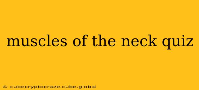 muscles of the neck quiz