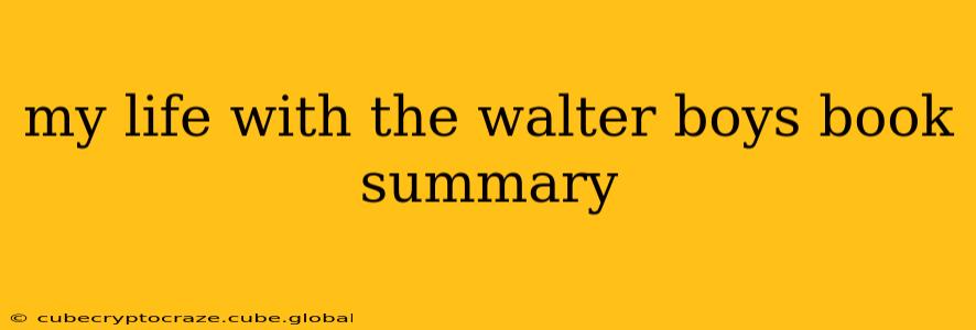 my life with the walter boys book summary