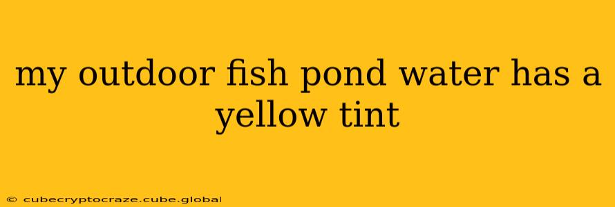 my outdoor fish pond water has a yellow tint