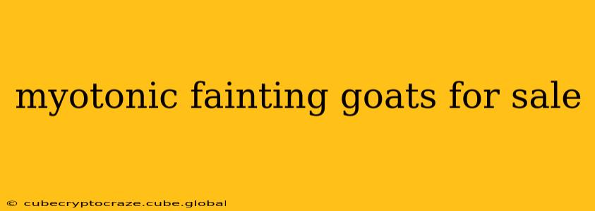 myotonic fainting goats for sale