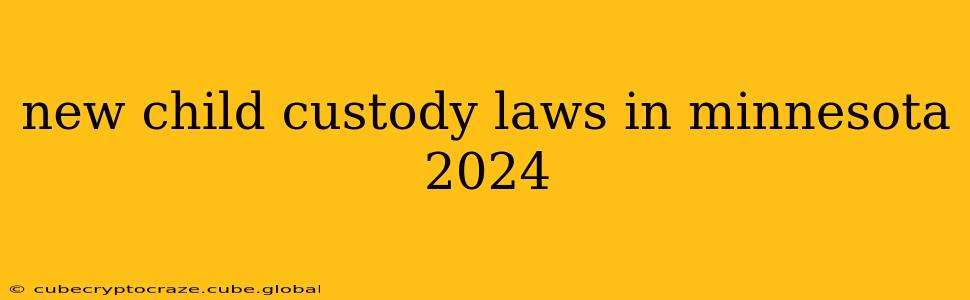 new child custody laws in minnesota 2024