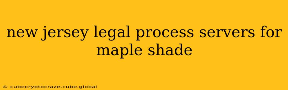 new jersey legal process servers for maple shade