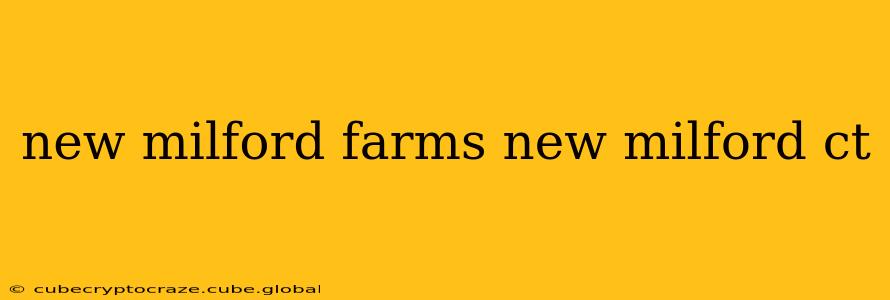 new milford farms new milford ct