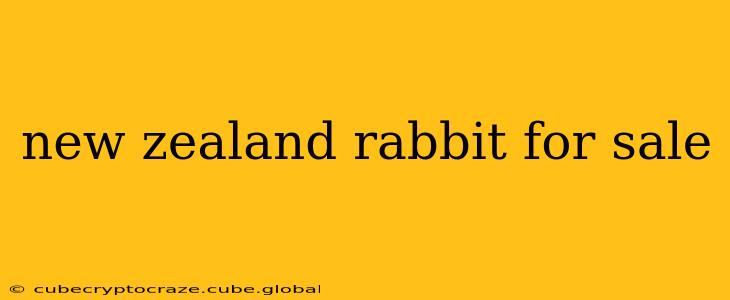 new zealand rabbit for sale
