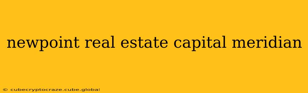 newpoint real estate capital meridian