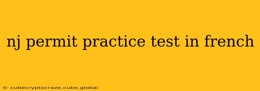 nj permit practice test in french