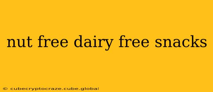 nut free dairy free snacks