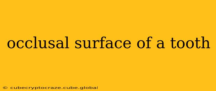occlusal surface of a tooth
