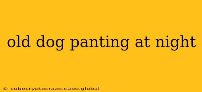 old dog panting at night