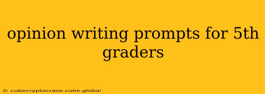 opinion writing prompts for 5th graders