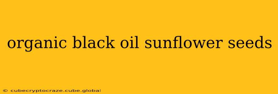 organic black oil sunflower seeds