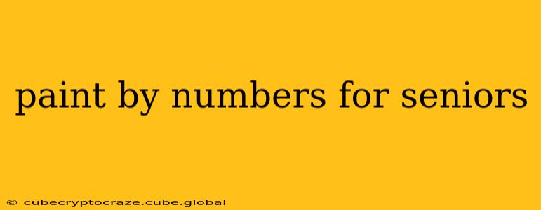 paint by numbers for seniors