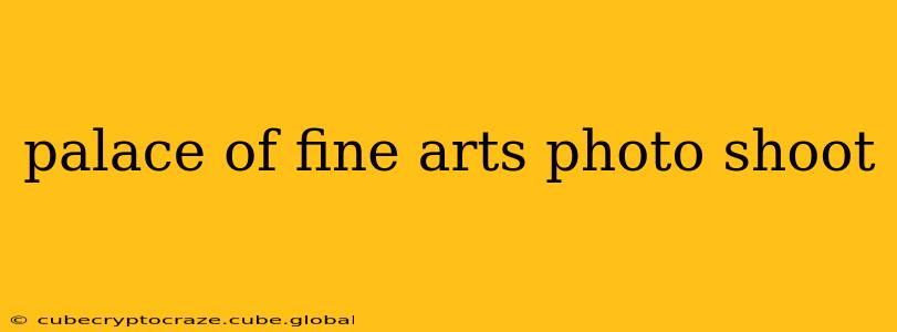 palace of fine arts photo shoot