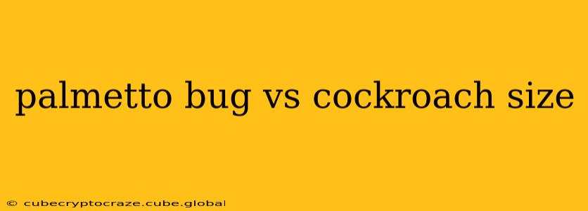 palmetto bug vs cockroach size