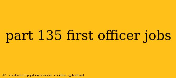 part 135 first officer jobs