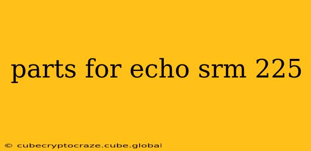 parts for echo srm 225