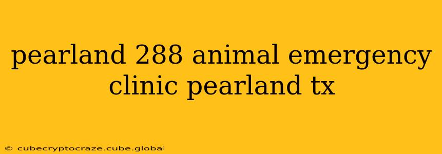 pearland 288 animal emergency clinic pearland tx