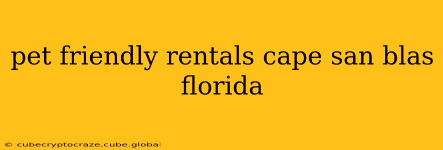 pet friendly rentals cape san blas florida