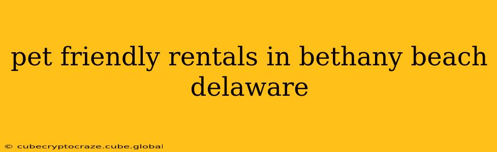 pet friendly rentals in bethany beach delaware