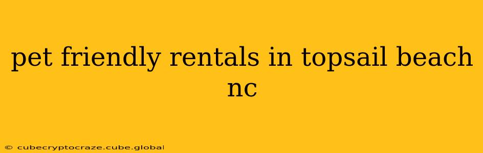 pet friendly rentals in topsail beach nc