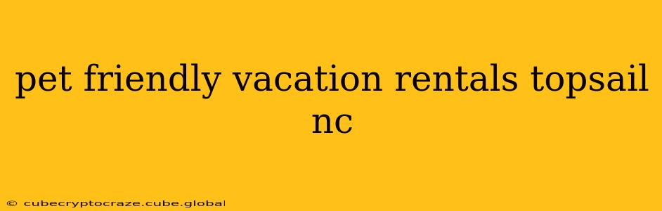 pet friendly vacation rentals topsail nc