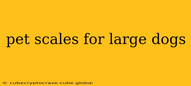 pet scales for large dogs