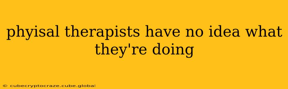 phyisal therapists have no idea what they're doing