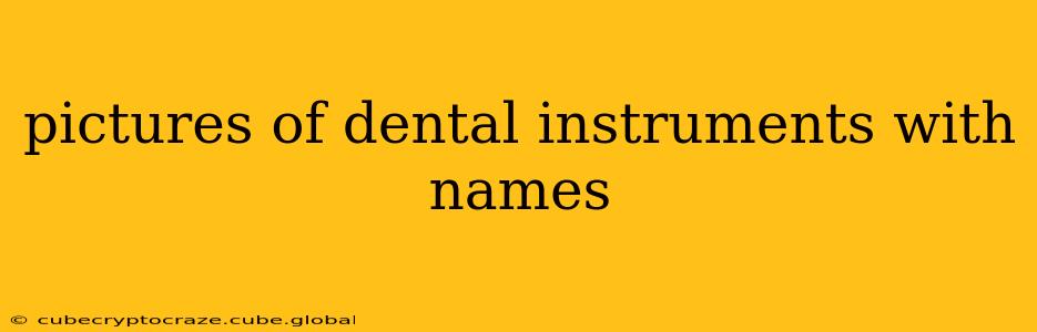 pictures of dental instruments with names