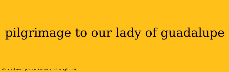 pilgrimage to our lady of guadalupe