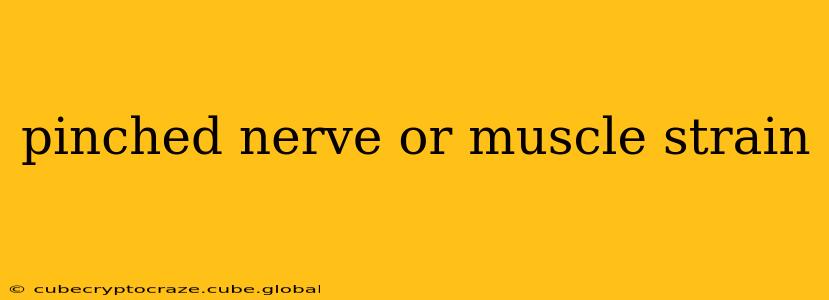 pinched nerve or muscle strain