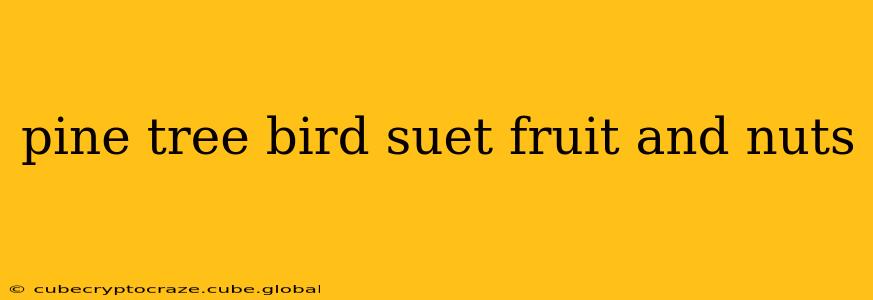 pine tree bird suet fruit and nuts
