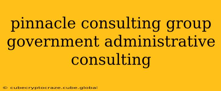 pinnacle consulting group government administrative consulting