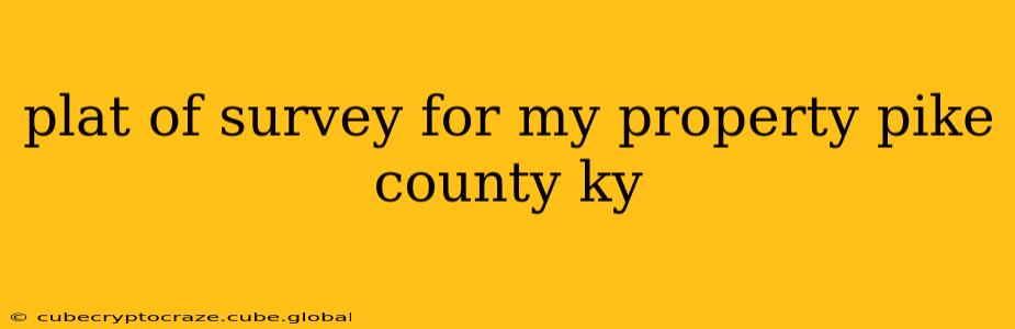 plat of survey for my property pike county ky