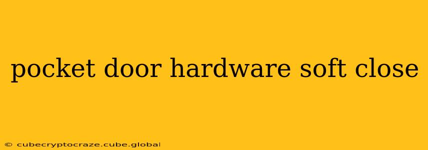 pocket door hardware soft close