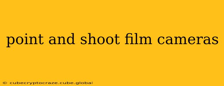 point and shoot film cameras