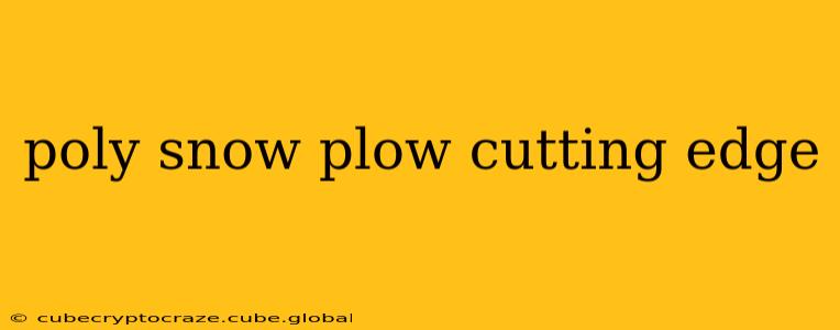 poly snow plow cutting edge
