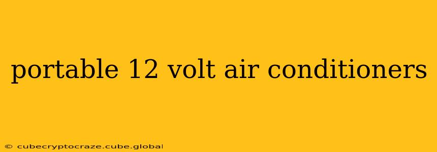 portable 12 volt air conditioners
