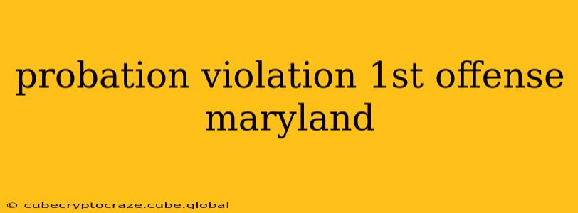 probation violation 1st offense maryland