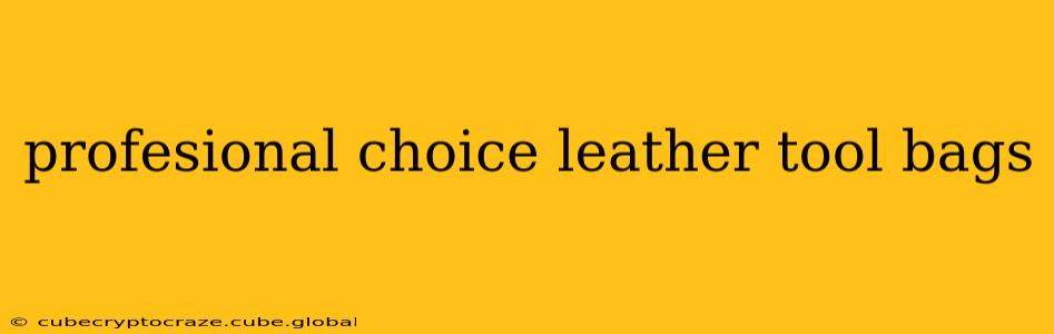 profesional choice leather tool bags