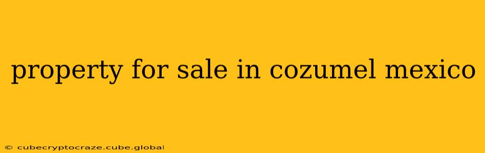 property for sale in cozumel mexico