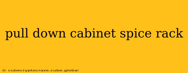 pull down cabinet spice rack