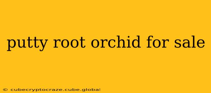 putty root orchid for sale
