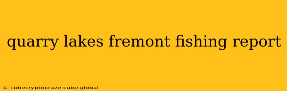 quarry lakes fremont fishing report