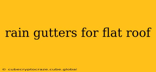 rain gutters for flat roof