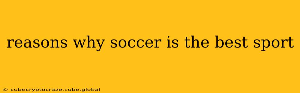 reasons why soccer is the best sport