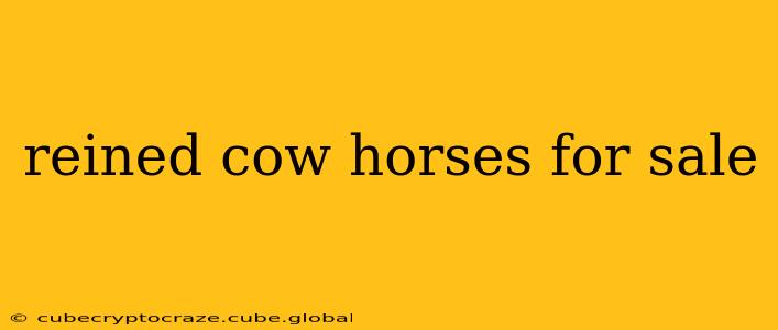 reined cow horses for sale