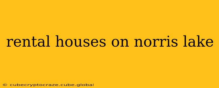 rental houses on norris lake